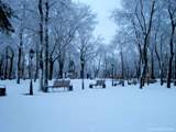 Зимний Петровский сквер вечером